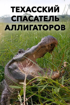 Глядзіце Техасский спасатель аллигаторов онлайн