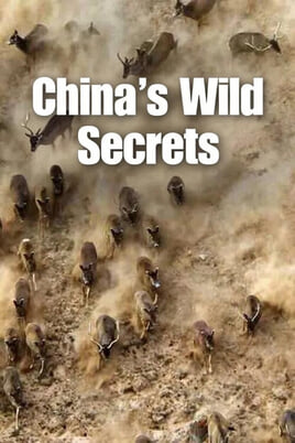 China's Wild Secrets