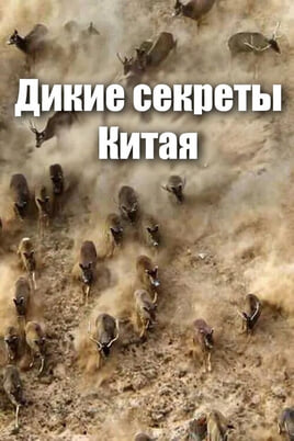 Дикие секреты Китая