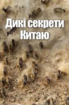 Дивитися Дикі секрети Китаю онлайн