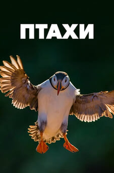 Дивитися Птахи онлайн