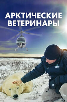 Смотреть Арктические ветеринары онлайн