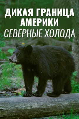 Дикая граница Америки северные холода - SWEET.TV Смотреть Дикая граница Америки северные холода онлайн