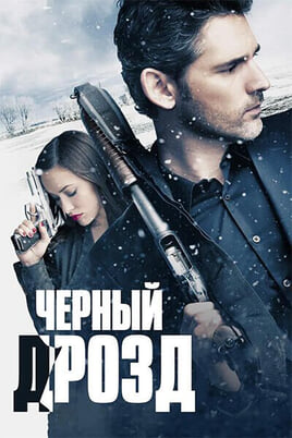 Чёрный дрозд