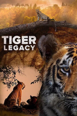 Gledajte Tiger Legacy online