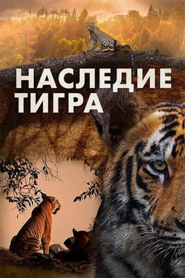 Смотреть Наследие тигра онлайн