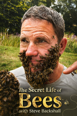 The Secret Life of Bees with Steve Backshall