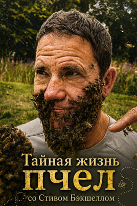 Тайная жизнь пчел со Стивом Бэкшеллом