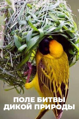 Поле битвы дикой природы онлайн қарау