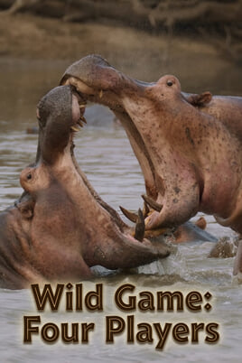 Wild Game: Four Players