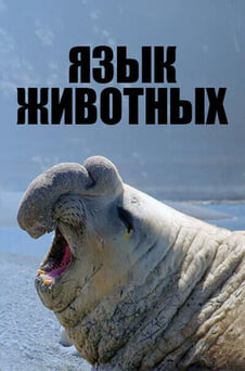 Смотреть Язык животных онлайн