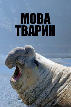Дивитися Мова тварин онлайн