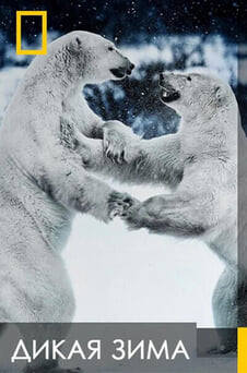 Смотреть Дикая зима онлайн