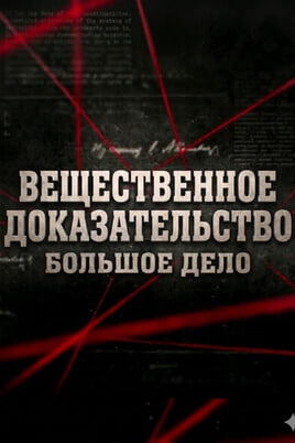 Смотреть Вещественное доказательство Большое дело онлайн