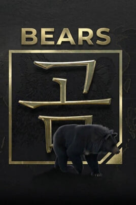 Watch Bears online