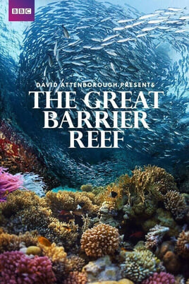Great barrier reef: a living treasure