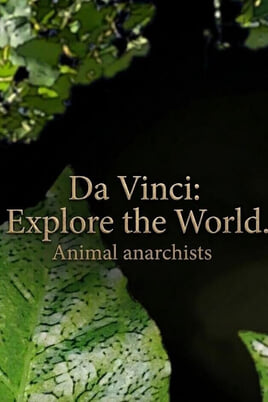 Watch Da Vinci Explore the World Animal anarchists online