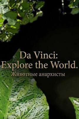Смотреть Da Vinci Explore the World Животные анархисты онлайн