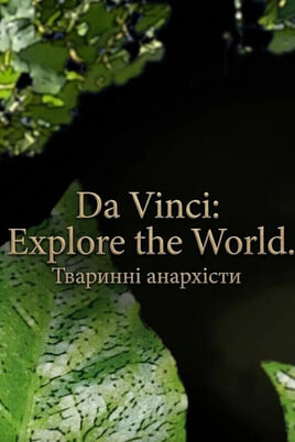 Glejte Da Vinci Explore the World Animal anarchists na spletu