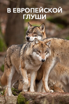 Смотреть В европейской глуши онлайн