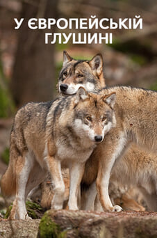 Дивитися У європейській глушині онлайн