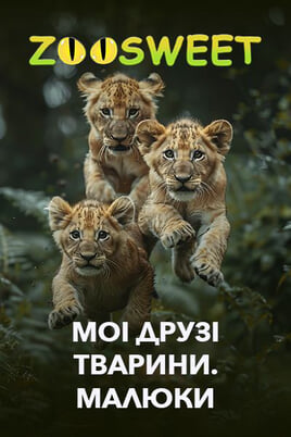 Watch Zoosweet My Animal Friends Babies online