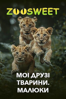 Skatieties Zoosweet My Animal Friends Babies tiešsaistē