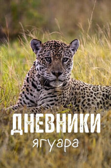 Смотреть Дневники ягуара онлайн