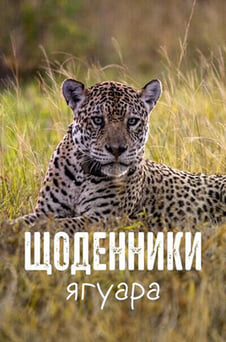 Дивитися Щоденники ягуара онлайн