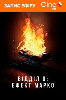 Ver Marco effekten online