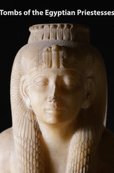 Ara Tombs of the Egyptian Priestesses online
