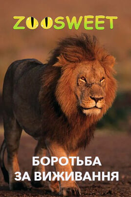 Glejte Zoosweet The Struggle for Survival na spletu