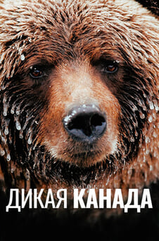 Смотреть Дикая Канада онлайн