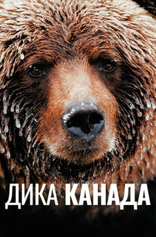 Дивитися Дика Канада онлайн