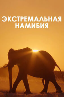 Смотреть Экстремальная Намибия онлайн