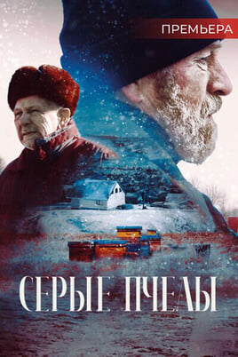 Серые пчелы