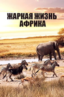 Смотреть Жаркая жизнь Африка онлайн