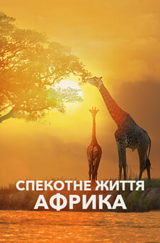 Дивитися Спекотне життя Африка онлайн