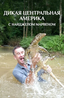 Смотреть Дикая Центральная Америка с Найджелом Марвеном онлайн