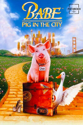 Babe: Pig in the City