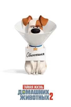 Смотреть Тайная жизнь домашних животных 2 онлайн