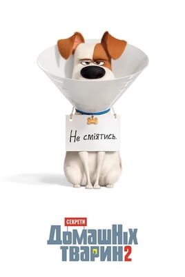 Ver La Vida Secreta De Tus Mascotas 2 online