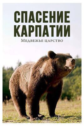 Глядзіце Спасение Карпат медвежье царство онлайн