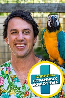 Клиника странных животных
