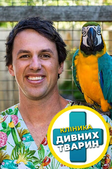 Дивитися Клініка дивних тварин онлайн