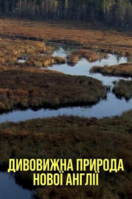 Παρακολούθησε New Englands Wildlife Wonders online