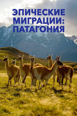Смотреть Эпические миграции Патагония онлайн