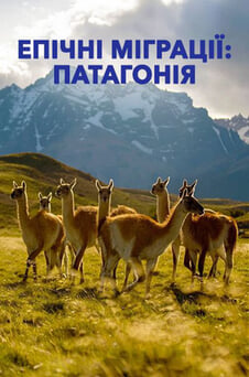 Дивитися Епічні міграції Патагонія онлайн
