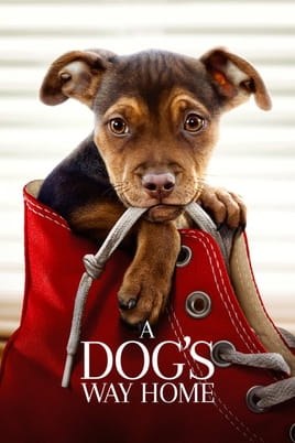 Bekijk A Dogs Way Home online