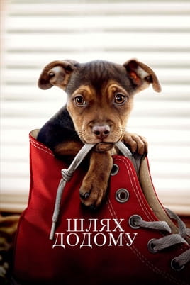 A Dogs Way Home onlayn baxın